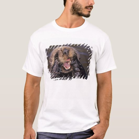 Zeeotters, Enhydra lutris 6 T-shirt (Voorkant)