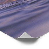 Zeeotters, Enhydra lutris Poster (Hoek)