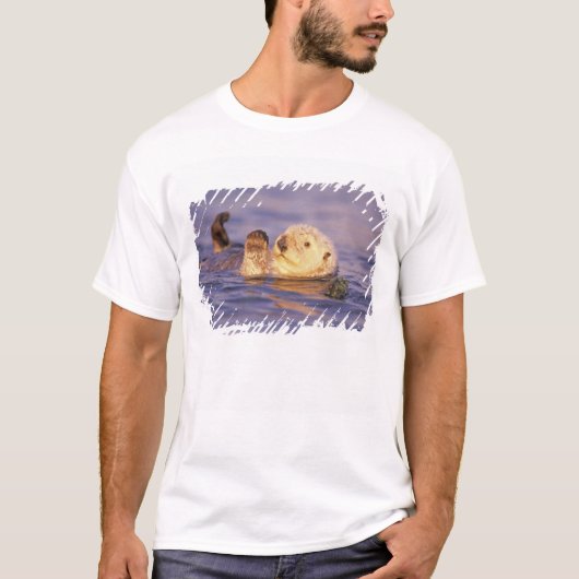 Zeeotters, Enhydra lutris T-shirt (Voorkant)
