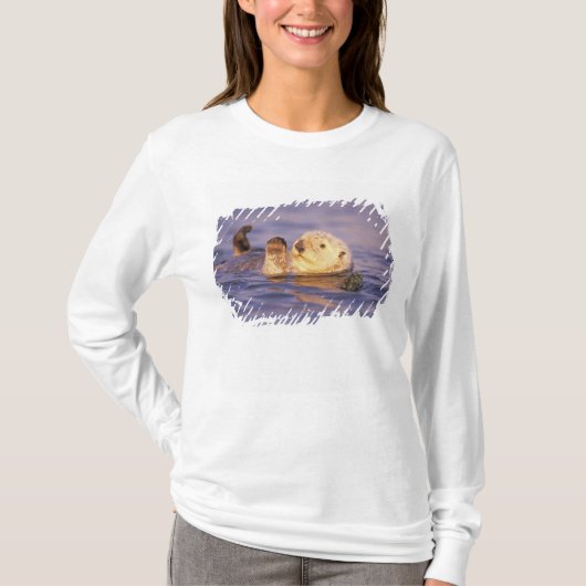 Zeeotters, Enhydra lutris T-shirt (Voorkant)