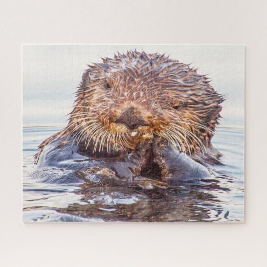 Zeeotters onze zee legpuzzel (Horizontaal)