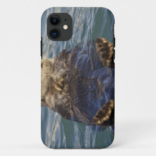 Zeeotters spelen op ijsbergen bij Surprise Inlet iPhone 11 Hoesje