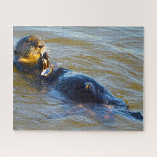 Zeeotters van onze zeeën legpuzzel (Horizontaal)