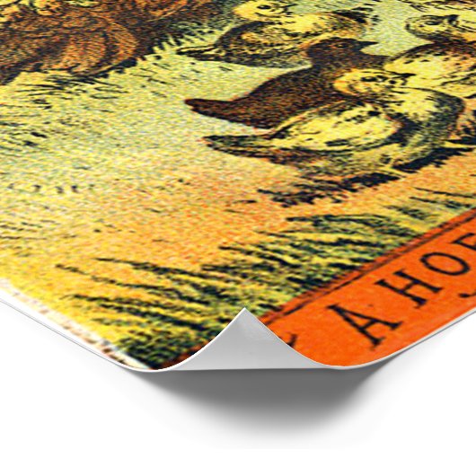  zeep adverteren poster (Hoek)