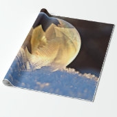 Zeep Bubble op sneeuw Cadeaupapier (Uitgerold)