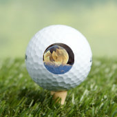 Zeep Bubble op sneeuw Golfballen (Insitu Shirt)