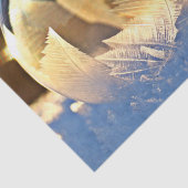 Zeep Bubble op sneeuw Tissuepapier (Detail)