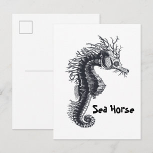 ZEepaard Briefkaart