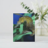 Zeepaard Briefkaart (Staand voorkant)