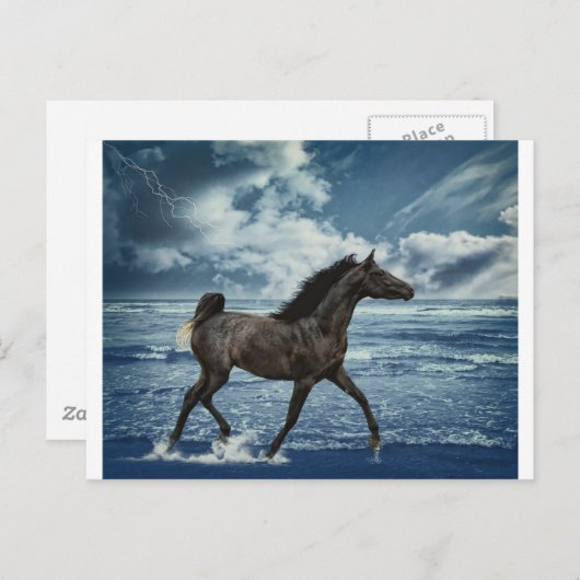 Zeepaard Briefkaart (Voorkant / Achterkant)