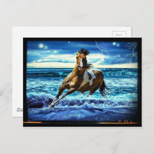 Zeepaard Briefkaart (Voorkant / Achterkant)