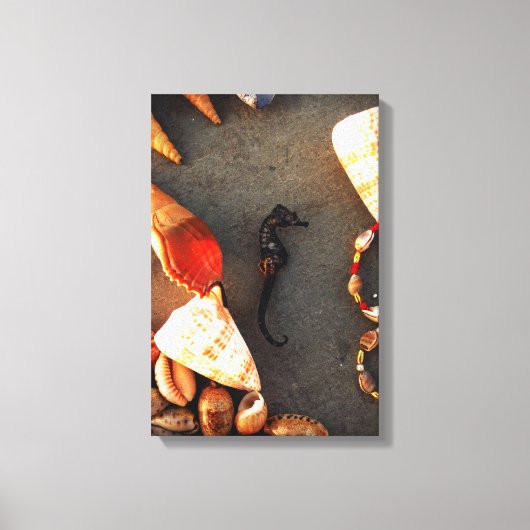 Zeepaard Canvas Afdruk (Voorkant)