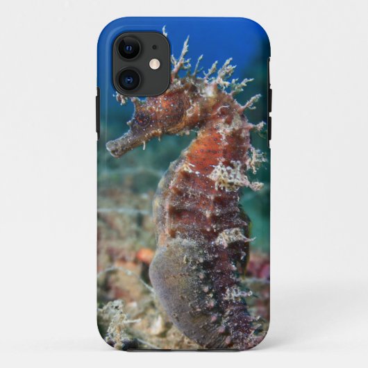 Zeepaard | Hippocampus Ramulosus Case-Mate iPhone Case (Achterkant)