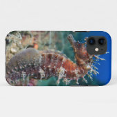 Zeepaard | Hippocampus Ramulosus Case-Mate iPhone Case (Achterkant (horizontaal))