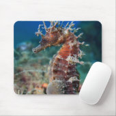 Zeepaard | Hippocampus Ramulosus Muismat (Met muis)