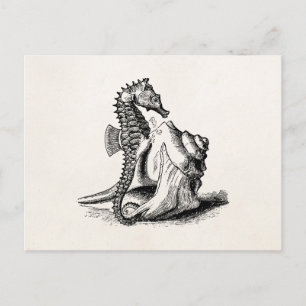  zeepaard Zee Horse Trumpet Shell Beach Briefkaart