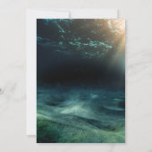 Zeepaardaquarium nautische oceaan bruiloft kaart (Achterkant)