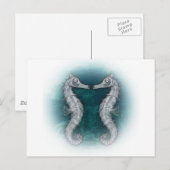 zeepaarden briefkaart (Voorkant / Achterkant)