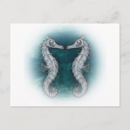 zeepaarden briefkaart (Voorkant)