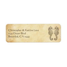  zeepaarden in Love Ocean Beach Address