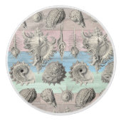 Zeepaardhout nautische strand schelpen blauwe perz keramische knop (Voorkant)