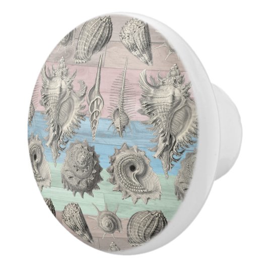 Zeepaardhout nautische strand schelpen blauwe perz keramische knop (Rechts)