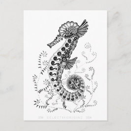 Zeepaardje 10 jaar briefkaart