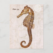 zeepaardje - Antiek zeepaardjes Gepersonaliseerd Briefkaart (Voorkant)