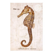  zeepaardje - Antiek zeepaardjes Gepersonaliseerd Foto Afdruk (Voorkant)