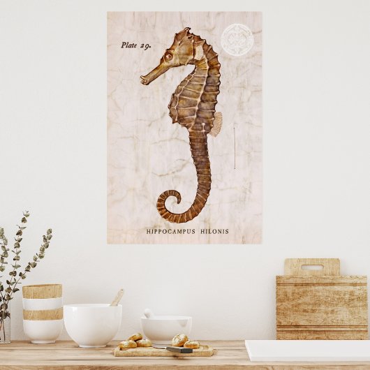  zeepaardje - Antiek zeepaardjes Gepersonaliseerd Poster (Keuken)