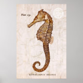  zeepaardje - Antiek zeepaardjes Gepersonaliseerd Poster (Voorkant)