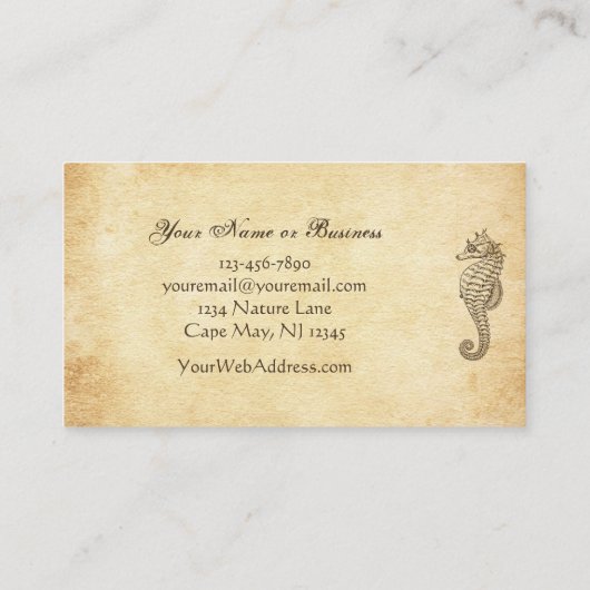  zeepaardje en Conch Shell Beach Visitekaartje (Achterkant)