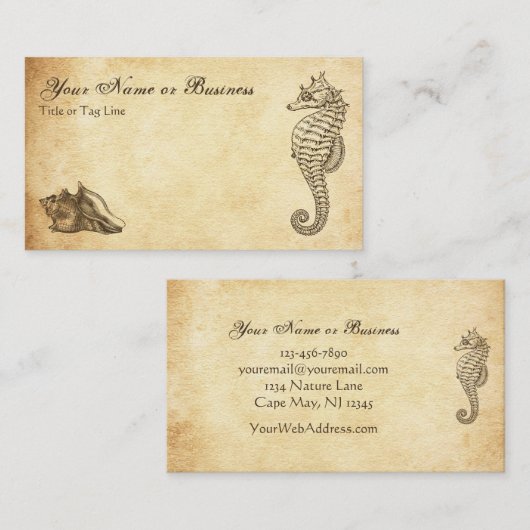  zeepaardje en Conch Shell Beach Visitekaartje (Voorkant / Achterkant)
