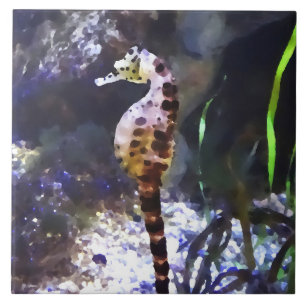 Zeepaardje in Aquarium Tegeltje