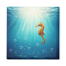 Zeepaardje met Hartbellen