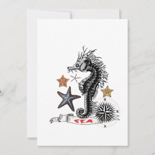 ZEEPAARDJE MET ZEESTER NOTITIEKAARTJE (Voorkant)