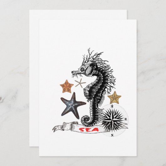 ZEEPAARDJE MET ZEESTER NOTITIEKAARTJE (Voorkant / Achterkant)