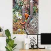 Zeepaardje op koraal poster (Thuiskantoor)