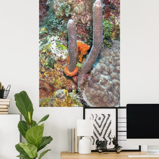 Zeepaardje op koraal poster (Thuiskantoor)
