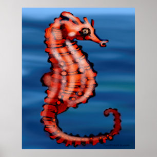 Zeepaardje Poster