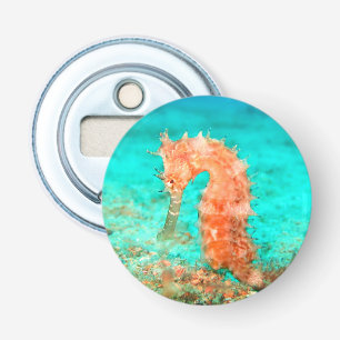Zeepaardje Tropisch Caraïbisch Turquoise sinaasapp Button Flesopener