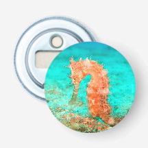 Zeepaardje tropische Caribische turquoise oranje