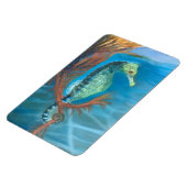Zeepaardje tussen zeewier magneet (Linkerzijde)