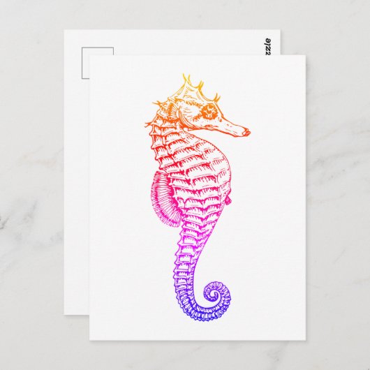 Zeepaardje,  zee dierillustratie briefkaart (Voorkant / Achterkant)