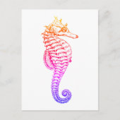 Zeepaardje,  zee dierillustratie briefkaart (Voorkant)