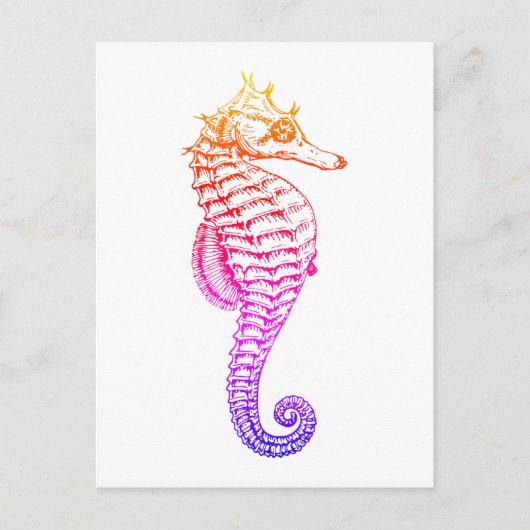 Zeepaardje,  zee dierillustratie briefkaart (Voorkant)