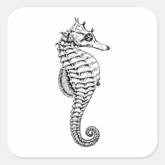 Zeepaardje, zee dierillustratie vierkante sticker (Voorkant)