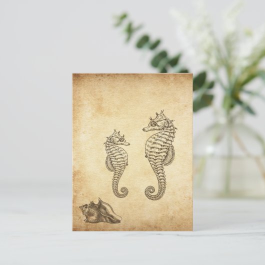  zeepaardjes en Conch Shell Beach Briefkaart (Staand voorkant)