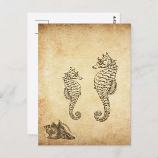  zeepaardjes en Conch Shell Beach Briefkaart (Voorkant / Achterkant)