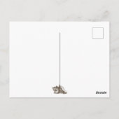 zeepaardjes en Conch Shell Beach Dank u Briefkaart (Achterkant)